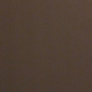 Meet your Posher, Mya